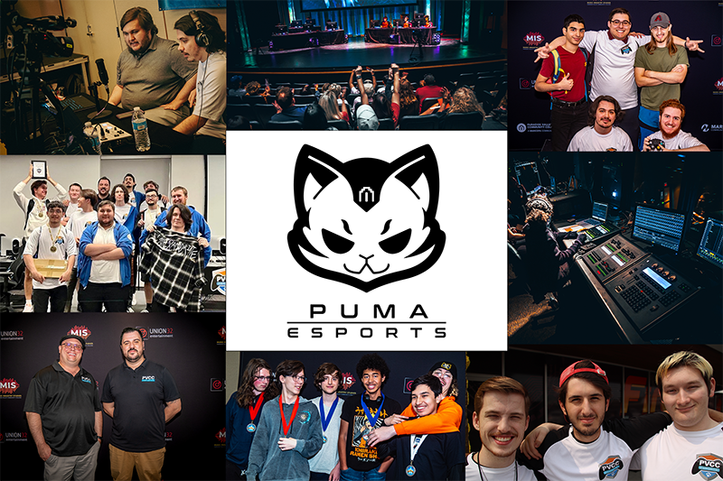 Esports collage of student gamers