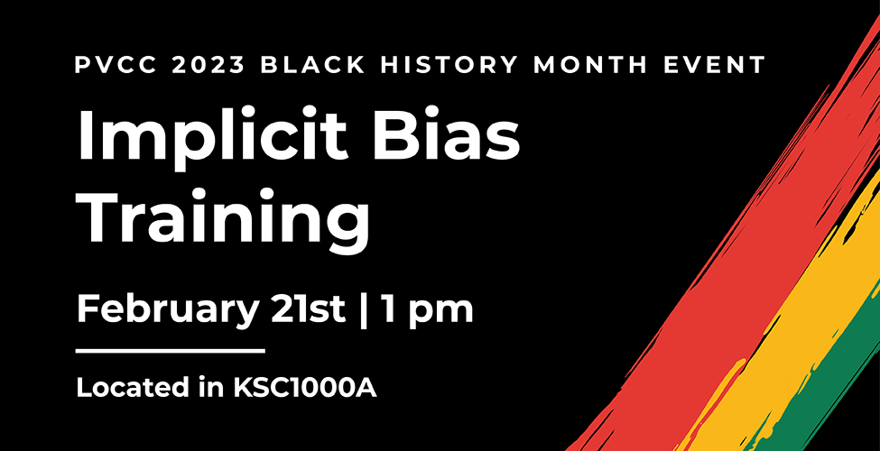 Implicit Bias Training