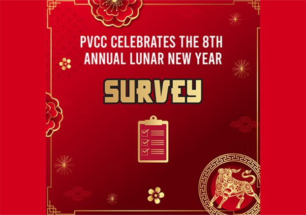 Lunar New Year - Survey